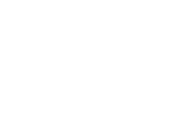 Government Commercial Function